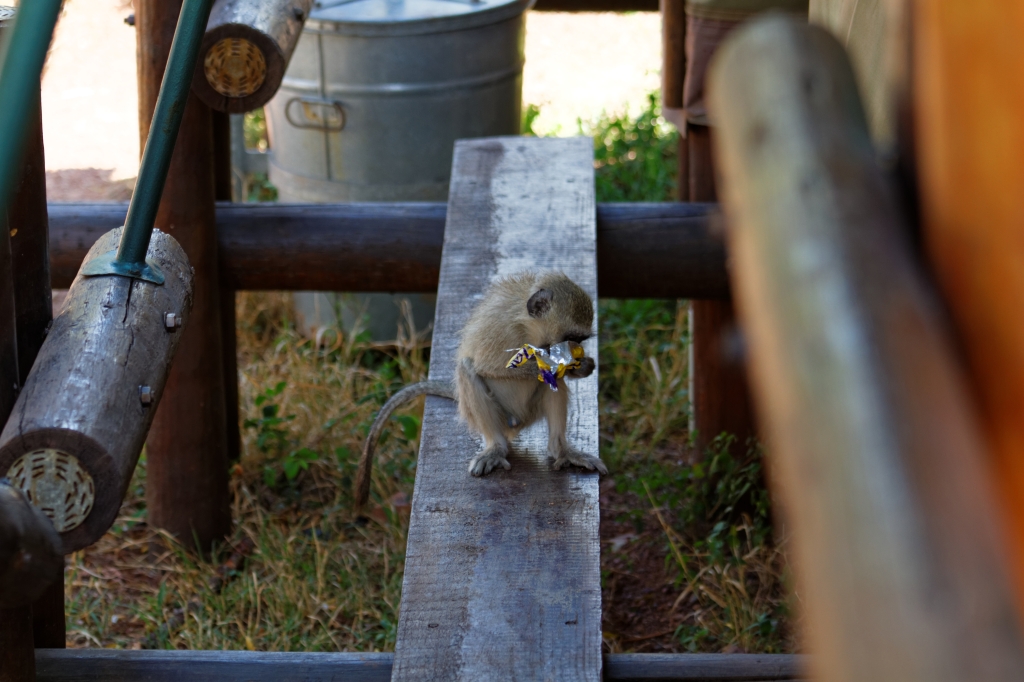 10 - Marakele NP (4).jpg